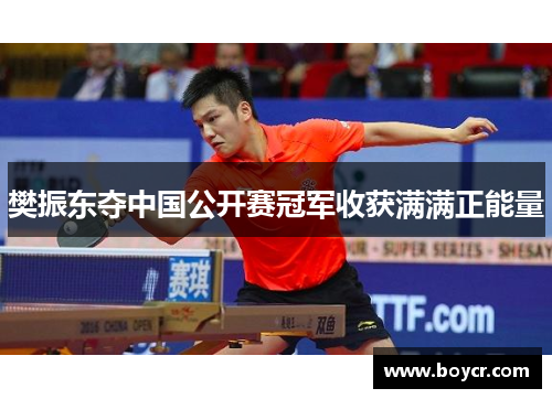 樊振东夺中国公开赛冠军收获满满正能量